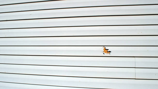 Best Stone Veneer Siding  in Eatontown, NJ